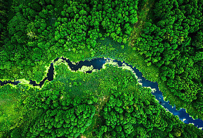 Fototapeta Rainforest , dažďový prales pohľad z výšky